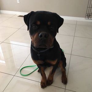 Meet your Posher, Lindsay